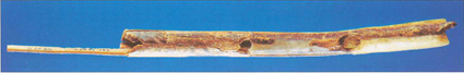 Flute d'ivoire de Mammouth de Geißenklösterle