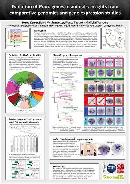 Poster Pierre Kerner - Evolution of Prdm genes in animals: insights from comparative genomics and gene expression studies