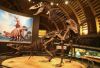 Tyrannosaurus Sex, Jurassic Museum of Asturias