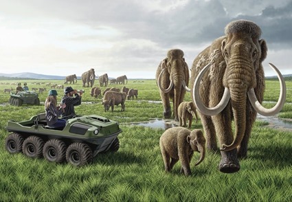 Pleistocene Park : bientôt une réalité ? Copyright Raul Martin/National Geographic Stock.