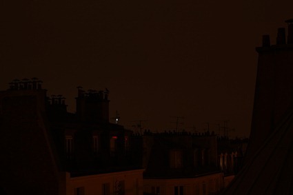 Paris s'éveille (et le corbeau et la grue aussi)