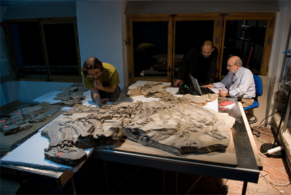 Francisco Ortega, Fernando Escaso et José L. Sanz autour du fossile de Concavenator corcovatus