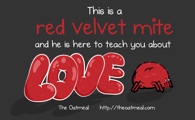 Red Velvet Mite, The Oatmeal